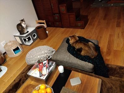 IMG_2024-12-19-00-25-40-049_R.jpg