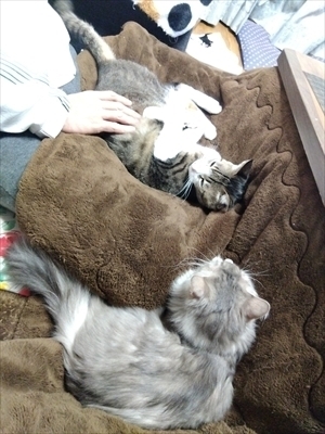 IMG_2025-01-13-19-41-00-039_R.jpg