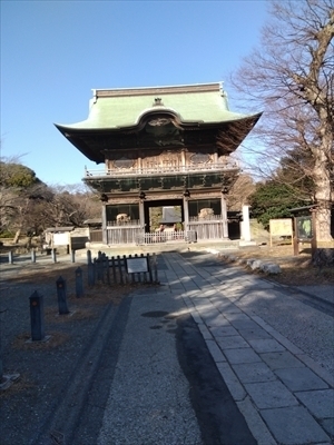 IMG_2025-02-13-14-39-49-923_R.jpg