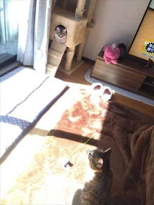 IMG_2025-03-20-12-36-47-998_R.jpg