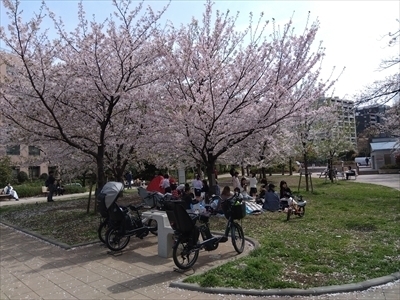 IMG_2025-04-08-13-44-10-359_R.jpg