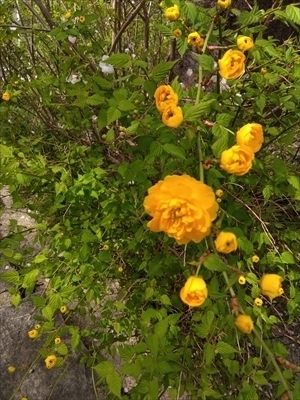 IMG_2025-04-08-13-44-39-605_R.jpg